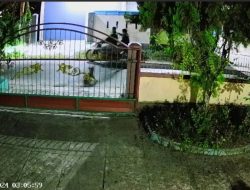 Aksi Pencurian Anjing Terekam Kamera CCTV Warga