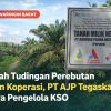 Polemik Lahan Desa Kerabu, PT AJP: Kami Hanya Ditunjuk sebagai Pengelola KSO