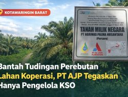 Polemik Lahan Desa Kerabu, PT AJP: Kami Hanya Ditunjuk sebagai Pengelola KSO