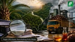 Ilustrasi investigasi pajak CPO, perkebunan sawit, pabrik kelapa sawit, dan dokumen pemeriksaan di Kalimantan Tengah