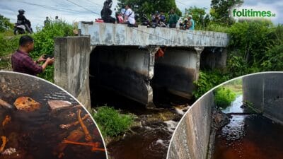 Tulang belulang yang ditemukan di Baamang, Sampit, diperiksa setelah polisi memastikan bukan kerangka manusia.
