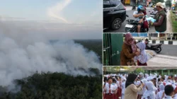 Karhutla Meluas, 15 Ribu Warga Kotim Terserang ISPA