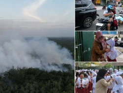 Karhutla Meluas, 15 Ribu Warga Kotim Terserang ISPA