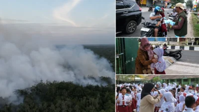 kabut asap karhutla kotim