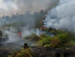 Peatland Fires Return to Palangka Raya as Crews Battle Underground Hotspots