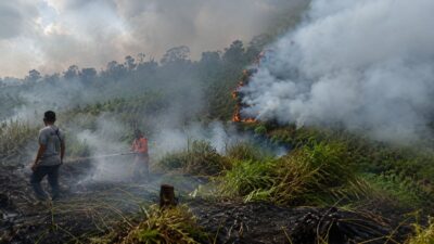Petugas BPBD bersama tim gabungan berjibaku memadamkan karhutla di Bukit Tunggal, Palangka Raya