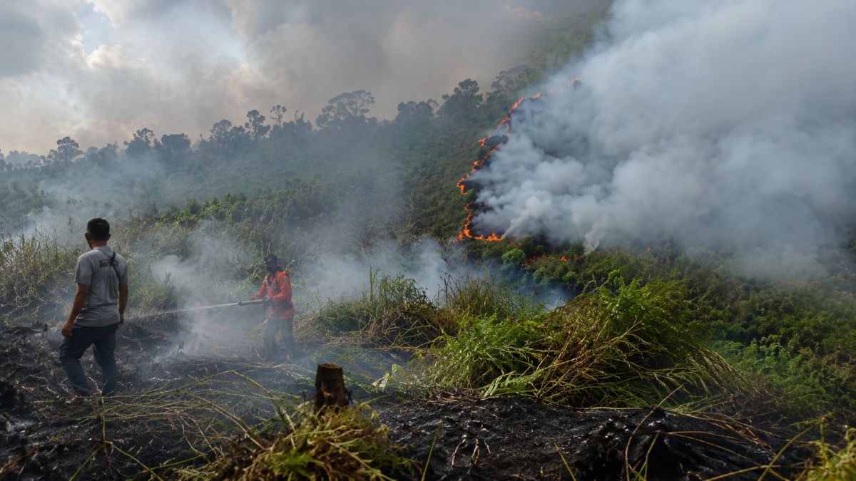 Petugas BPBD bersama tim gabungan berjibaku memadamkan karhutla di Bukit Tunggal, Palangka Raya