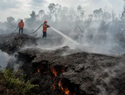 Api Bukan Satu-satunya Ancaman Ketika Gambut Terbakar
