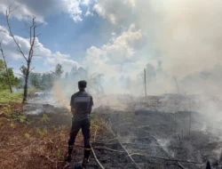 Karhutla Tetap Muncul Dua Hari Berturut di Palangka Raya, Status Siaga Mulai Berlaku