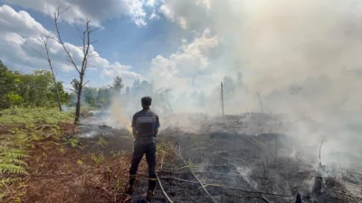 Petugas memantau sisa titik api dan asap di lahan gambut yang terbakar di Palangka Raya saat memasuki awal musim kemarau 2026.