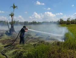 Petugas Bertaruh Napas Melawan Bara Gambut Tumbang Nusa