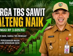 Ada 42 Perusahaan Masih Absen Laporkan Harga Sawit