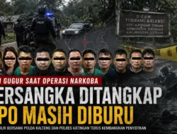 Bareskrim Bongkar Jaringan Tumbang Kalemei Tiga DPO Diburu Polisi