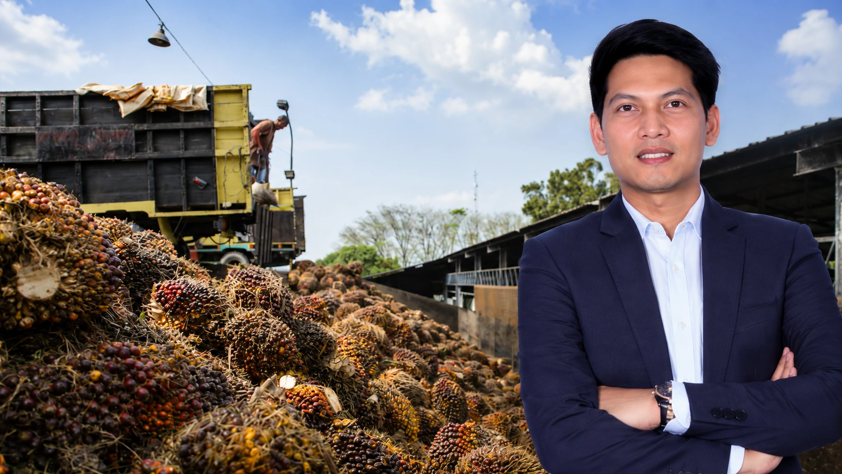 pengelolaan aset perkebunan sawit dan analisis kinerja keuangan PT Agrinas Palma Nusantara pada Tahun 2025 jadi sorotan ekonom kalteng
