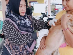 Sumut Bidik Cakupan Rabies, Data Hewan Jadi Kunci