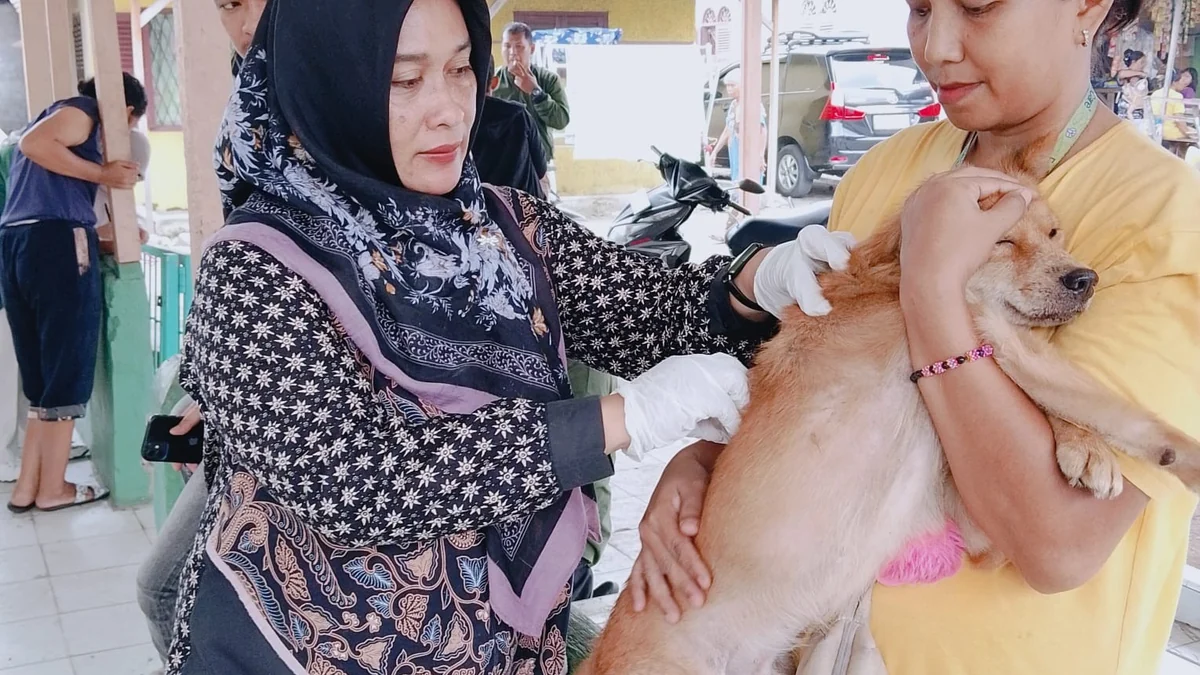 Vaksinasi rabies serentak untuk hewan pembawa rabies