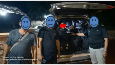 Kemenhut Tahan Tersangka Pembalakan, Jejak Pemodal Jadi Sasaran
