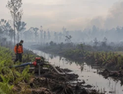Kabut Asap Kepung Pulang Pisau, Puluhan Warga ISPA