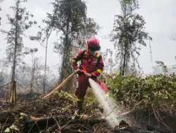 Hotspot Nasional Melonjak, Kalimantan Tengah Jadi Sorotan Utama