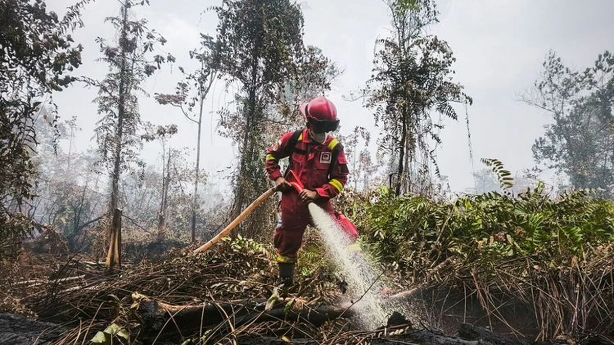 Petugas menjalankan operasi pengendalian karhutla di Kalimantan Tengah.