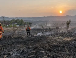 Karhutla Tuban Hanguskan 200 Hektare, Polisi Selidiki Penyebab