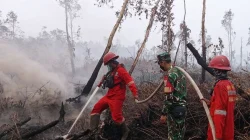 Dokumentasi petugas melakukan pemadaman karhutla dari publikasi Kementerian Kehutanan, 22 Oktober 2026.