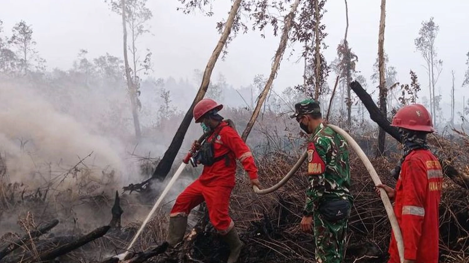 Dokumentasi petugas melakukan pemadaman karhutla dari publikasi Kementerian Kehutanan, 22 Oktober 2026.