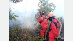 Dokumentasi: Ribuan Personel Dikerahkan, Karhutla Kalteng Masih Terus Meluas