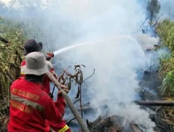 Hotspot Berkurang 605 Titik, Operasi Karhutla Tetap Berjalan