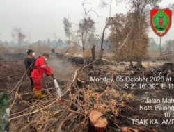 Hotspot Kalteng Naik Jadi 116 Titik, Karhutla Belum Mereda