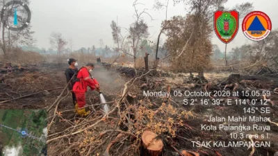 Hotspot Kalteng Naik Jadi 116 Titik, Karhutla Belum Mereda