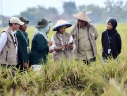 IoT Pangkas Pupuk 53 Persen, Produktivitas Petani Didorong